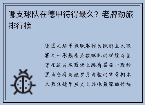 哪支球队在德甲待得最久？老牌劲旅排行榜